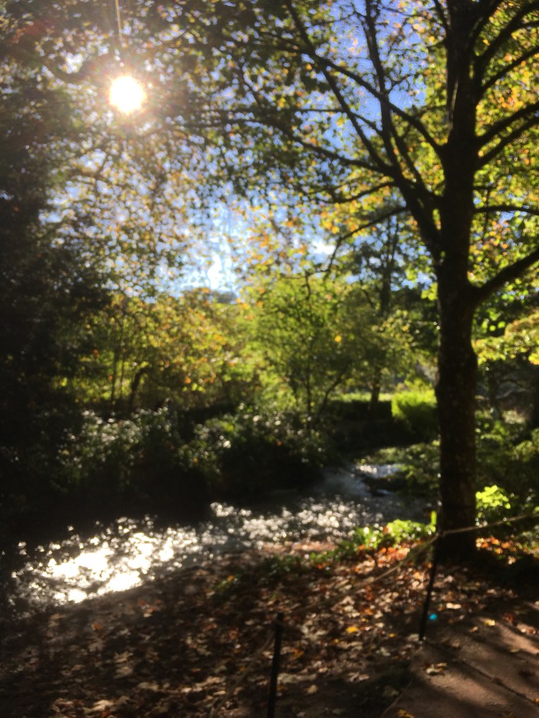 The River Garden at Dunster Castle.