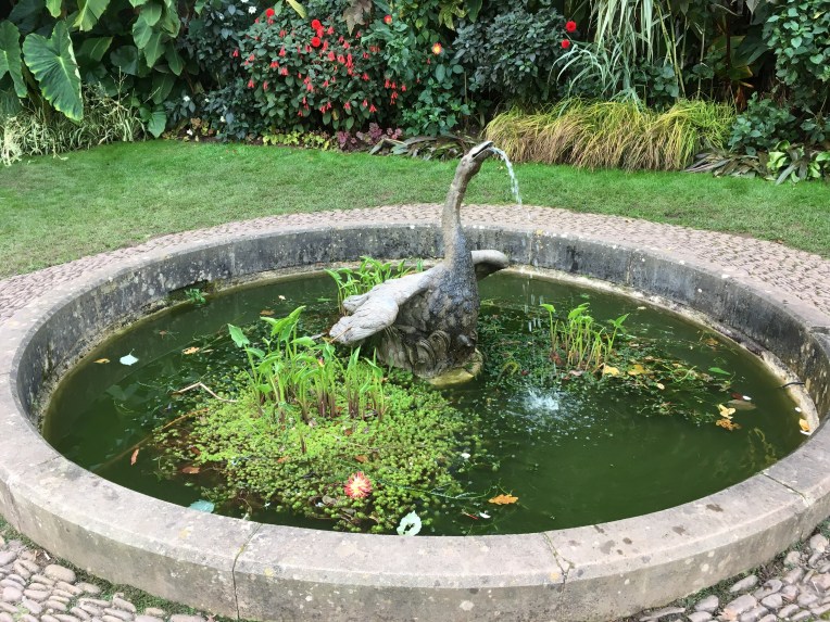 The Swan Pond at Dunster Castle