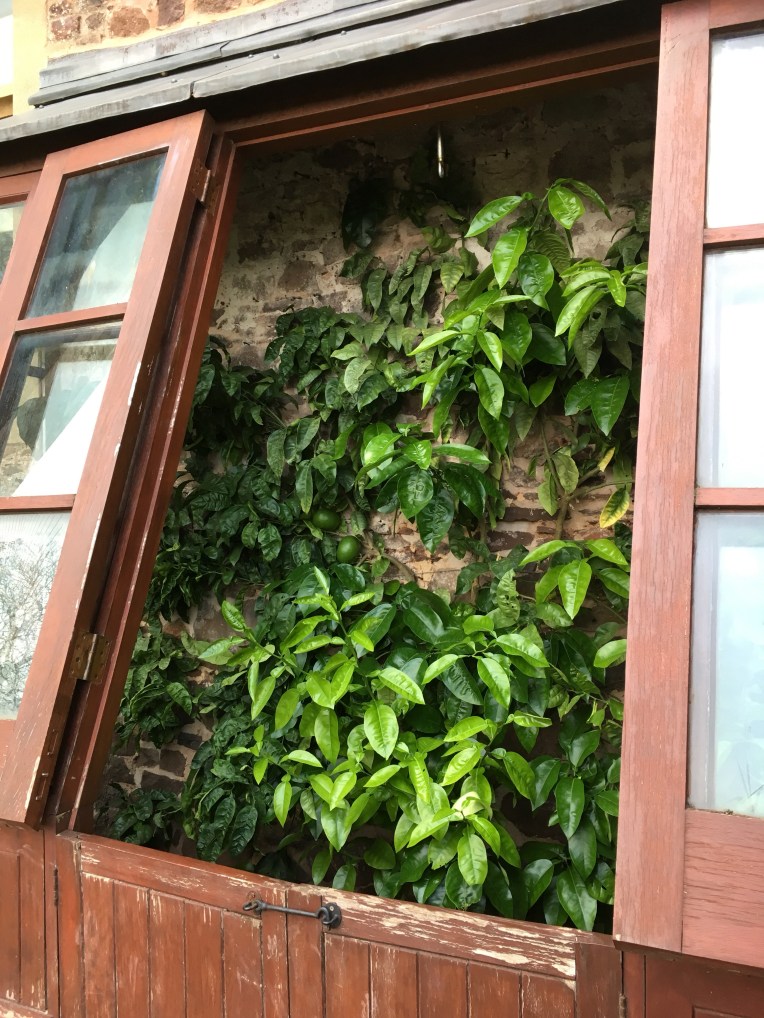 The Lemon House at Dunster Castle