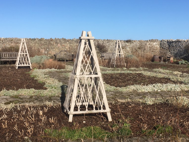 Jekyll walled garden at Lindisfarne, in winter.