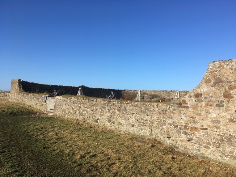Walled garden walls at Lindisfarne