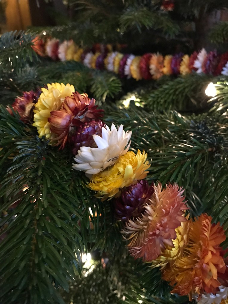 Helichrysum garland on a Christmas tree at Baddesley Clinton, Warwickshire 