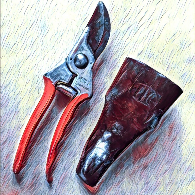 Felco Secateurs 