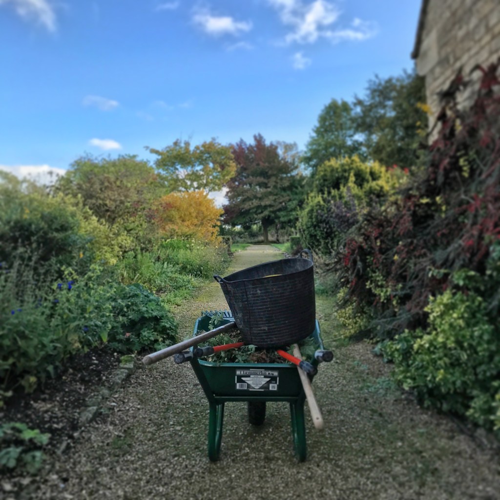 Along a new garden path at Sulgrave Manor, with a fully loaded wheelbarrow .