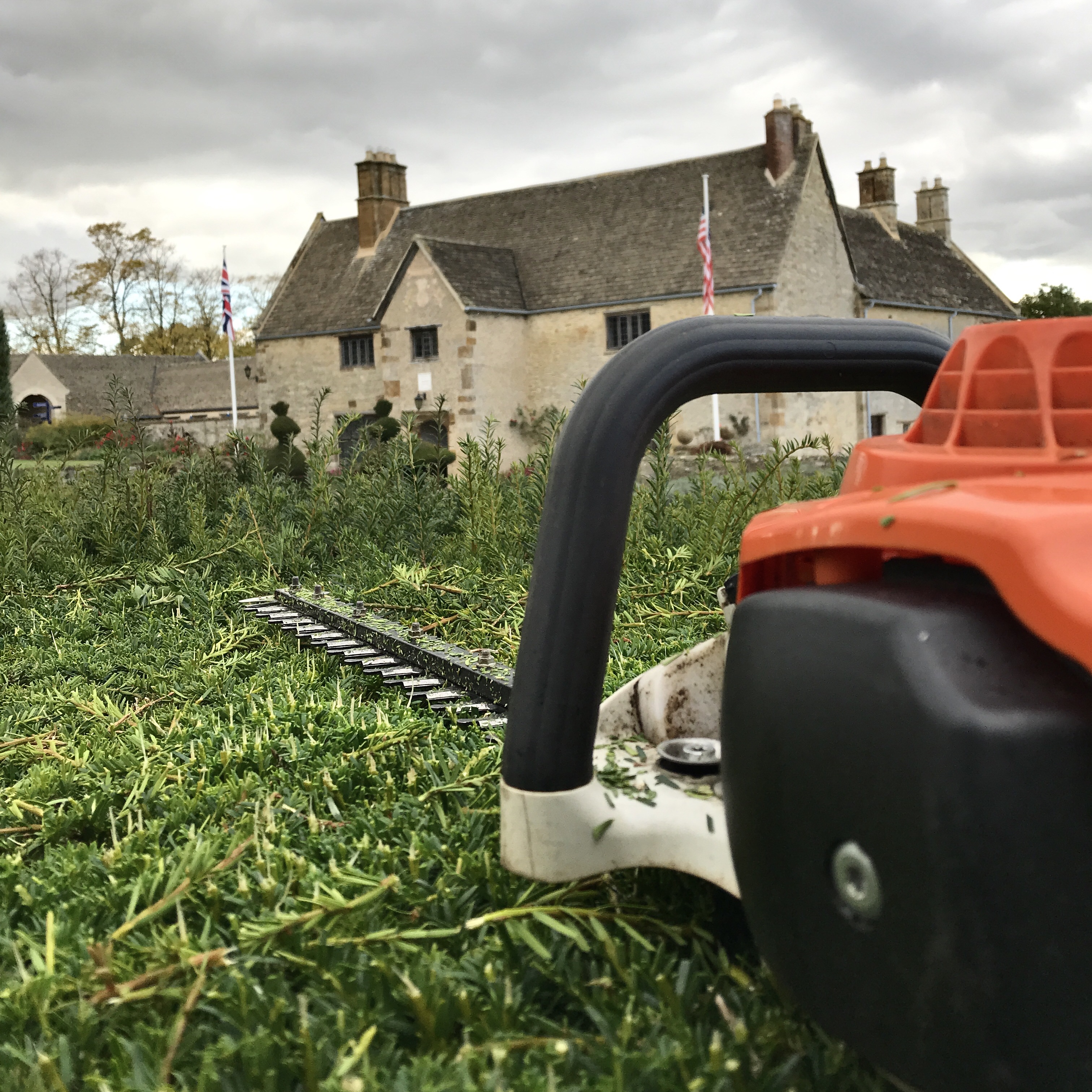 Hedge trimmer resting on the hedge top between trimming sessions... at Sulgrave Manor in Northants