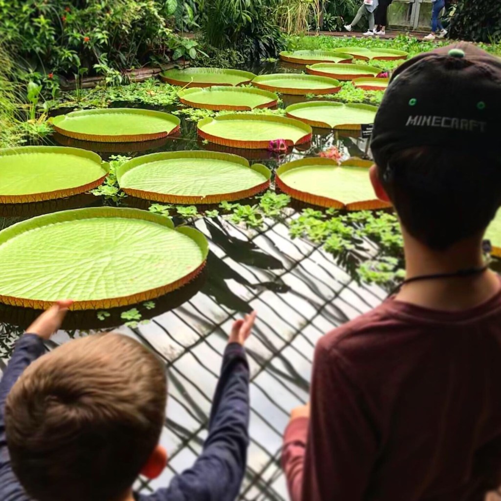 Across the pond at Edinburgh Botanical Garden