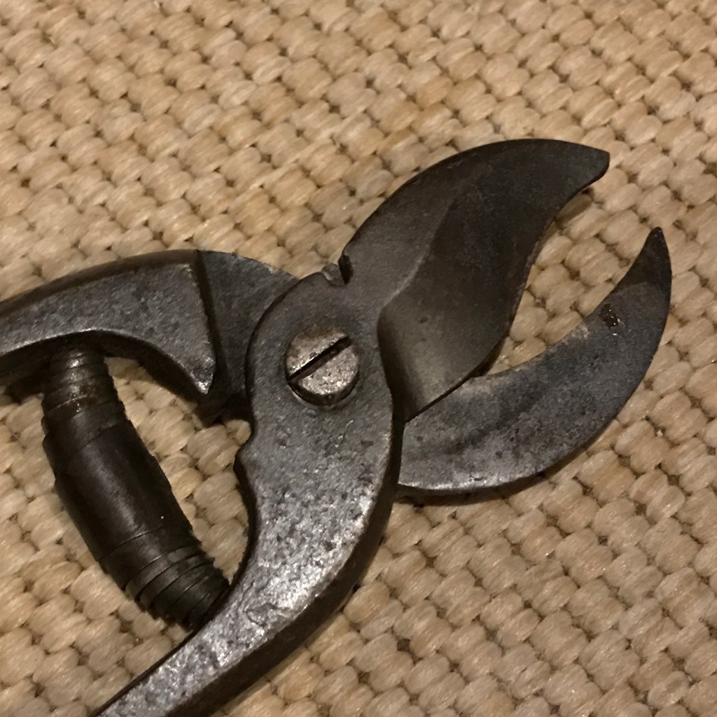 beautifully shaped pair of pruners​